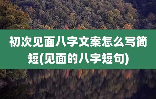 初次见面八字文案怎么写简短(见面的八字短句)