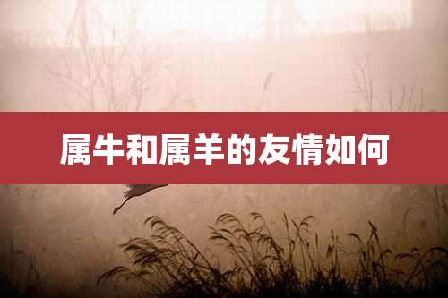 属牛和属羊的友情如何