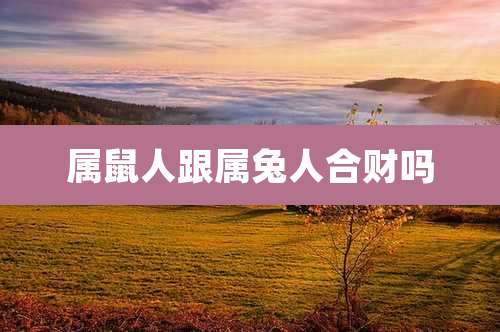 属鼠人跟属兔人合财吗