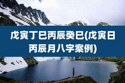 戊寅丁巳丙辰癸巳(戊寅日丙辰月八字案例)