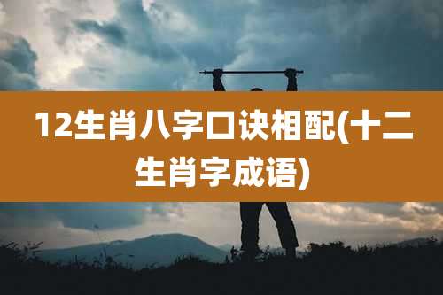 12生肖八字口诀相配(十二生肖字成语)