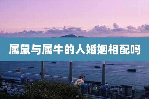 属鼠与属牛的人婚姻相配吗