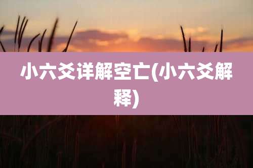 小六爻详解空亡(小六爻解释)