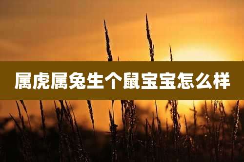 属虎属兔生个鼠宝宝怎么样
