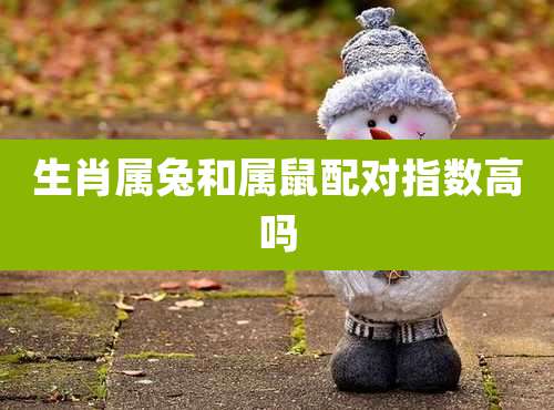 生肖属兔和属鼠配对指数高吗