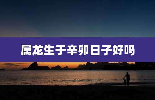 属龙生于辛卯日子好吗