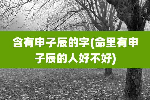 含有申子辰的字(命里有申子辰的人好不好)
