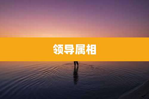 领导属相