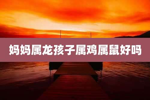 妈妈属龙孩子属鸡属鼠好吗
