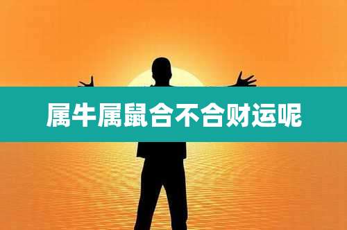 属牛属鼠合不合财运呢