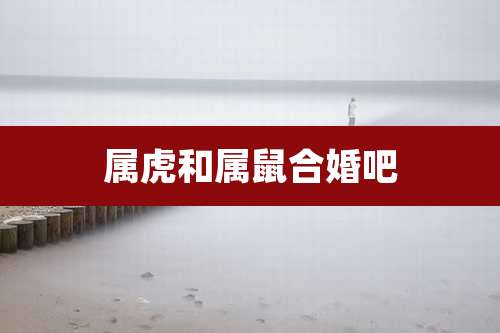 属虎和属鼠合婚吧