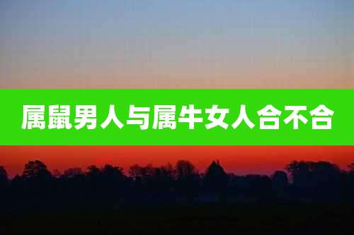 属鼠男人与属牛女人合不合