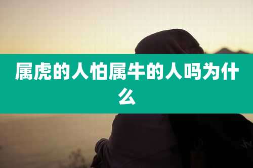 属虎的人怕属牛的人吗为什么