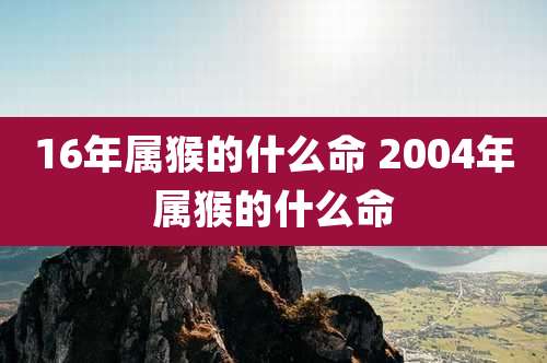 16年属猴的什么命 2004年属猴的什么命