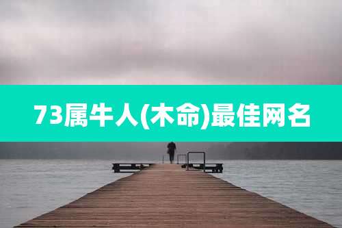 73属牛人(木命)最佳网名