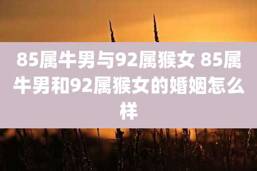 85属牛男与92属猴女 85属牛男和92属猴女的婚姻怎么样