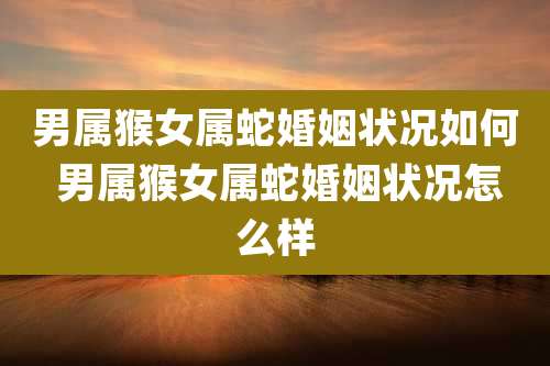 男属猴女属蛇婚姻状况如何 男属猴女属蛇婚姻状况怎么样