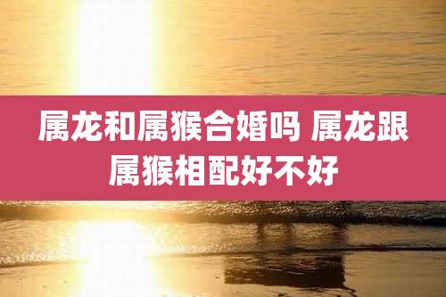 属龙和属猴合婚吗 属龙跟属猴相配好不好