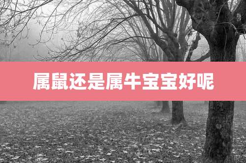 属鼠还是属牛宝宝好呢