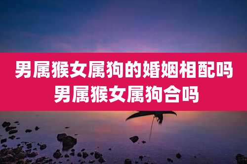 男属猴女属狗的婚姻相配吗 男属猴女属狗合吗