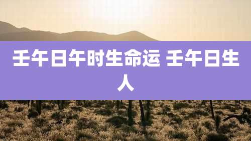 壬午日午时生命运 壬午日生人
