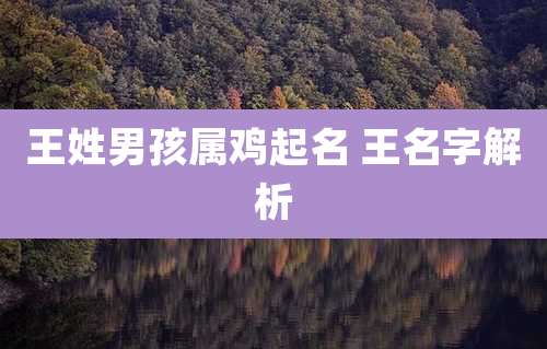 王姓男孩属鸡起名 王名字解析