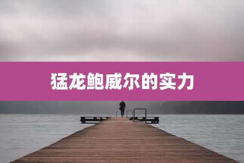 猛龙鲍威尔的实力