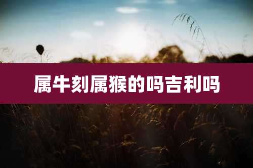属牛刻属猴的吗吉利吗