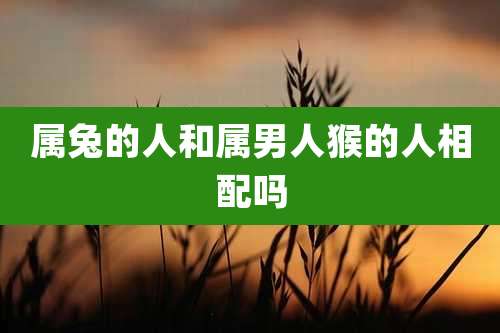 属兔的人和属男人猴的人相配吗