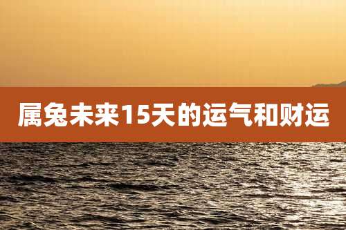 属兔未来15天的运气和财运