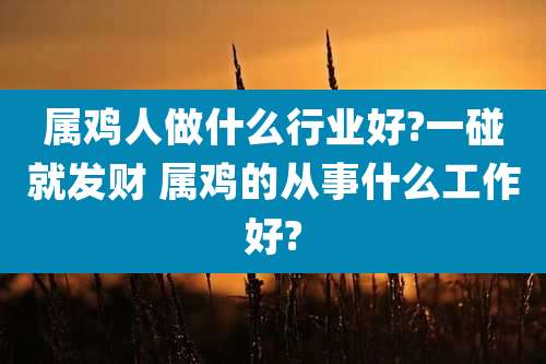 属鸡人做什么行业好?一碰就发财 属鸡的从事什么工作好?