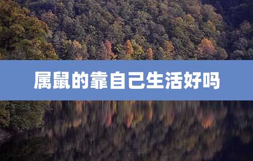 属鼠的靠自己生活好吗