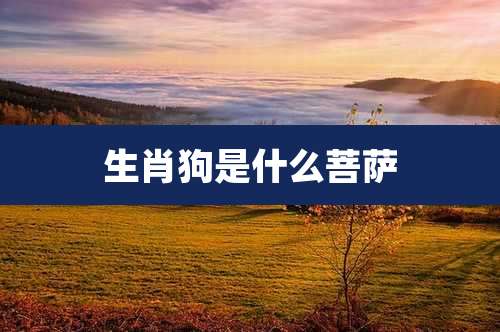 生肖狗是什么菩萨