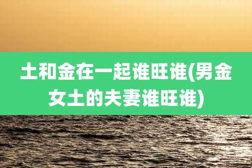 土和金在一起谁旺谁(男金女土的夫妻谁旺谁)