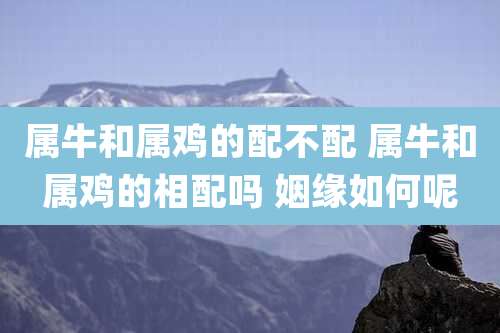 属牛和属鸡的配不配 属牛和属鸡的相配吗 姻缘如何呢