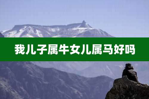 我儿子属牛女儿属马好吗
