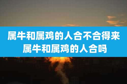 属牛和属鸡的人合不合得来 属牛和属鸡的人合吗