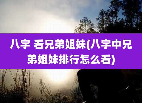 八字 看兄弟姐妹(八字中兄弟姐妹排行怎么看)