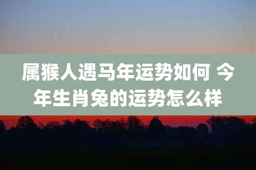 属猴人遇马年运势如何 今年生肖兔的运势怎么样