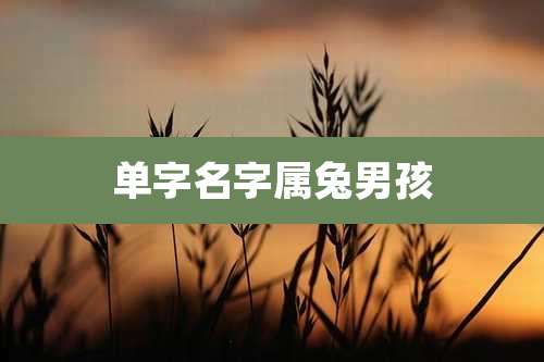 单字名字属兔男孩