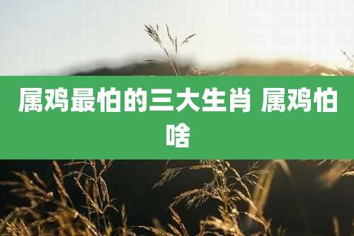 属鸡最怕的三大生肖 属鸡怕啥