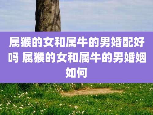 属猴的女和属牛的男婚配好吗 属猴的女和属牛的男婚姻如何