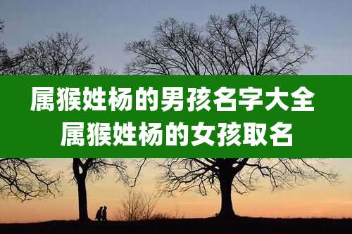 属猴姓杨的男孩名字大全 属猴姓杨的女孩取名