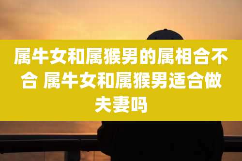 属牛女和属猴男的属相合不合 属牛女和属猴男适合做夫妻吗