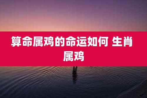 算命属鸡的命运如何 生肖 属鸡