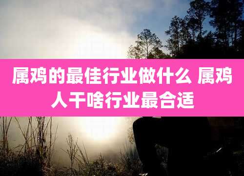 属鸡的最佳行业做什么 属鸡人干啥行业最合适