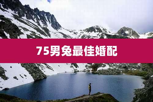 75男兔最佳婚配