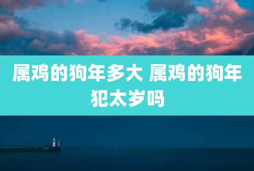 属鸡的狗年多大 属鸡的狗年犯太岁吗