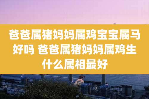 爸爸属猪妈妈属鸡宝宝属马好吗 爸爸属猪妈妈属鸡生什么属相最好