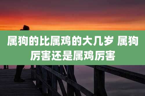 属狗的比属鸡的大几岁 属狗厉害还是属鸡厉害